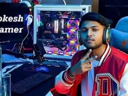 Lokesh Gamer Age